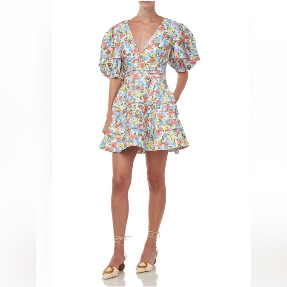 Amir Avian Puff Sleeve Mini Floral Dress Dress 6